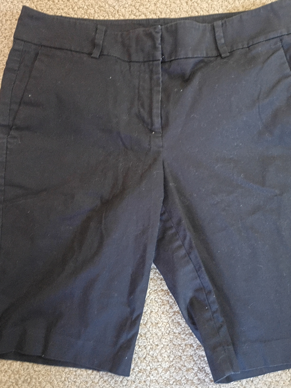 Ann Taylor Black Women's Shorts 6